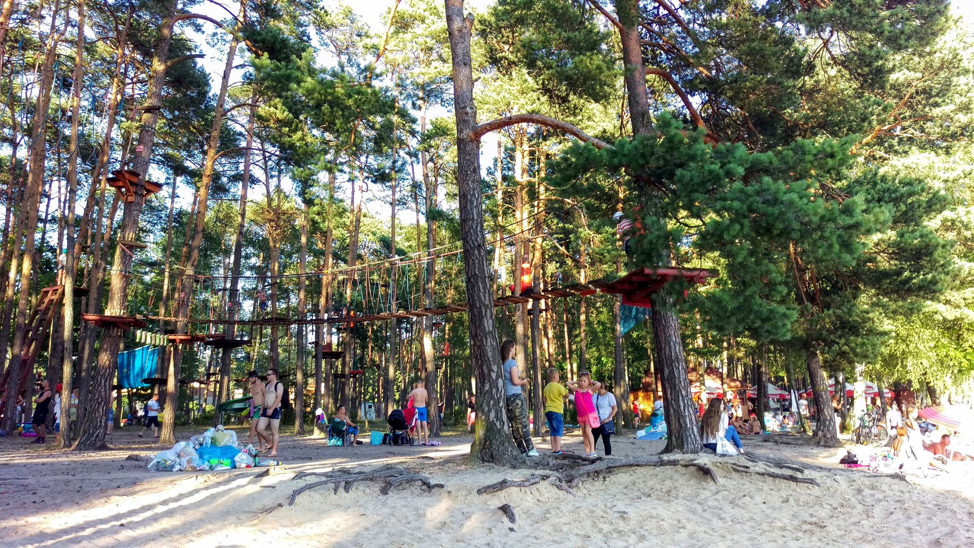 Park linowy Sielpia — trasy w lesie sosnowym przy plaży