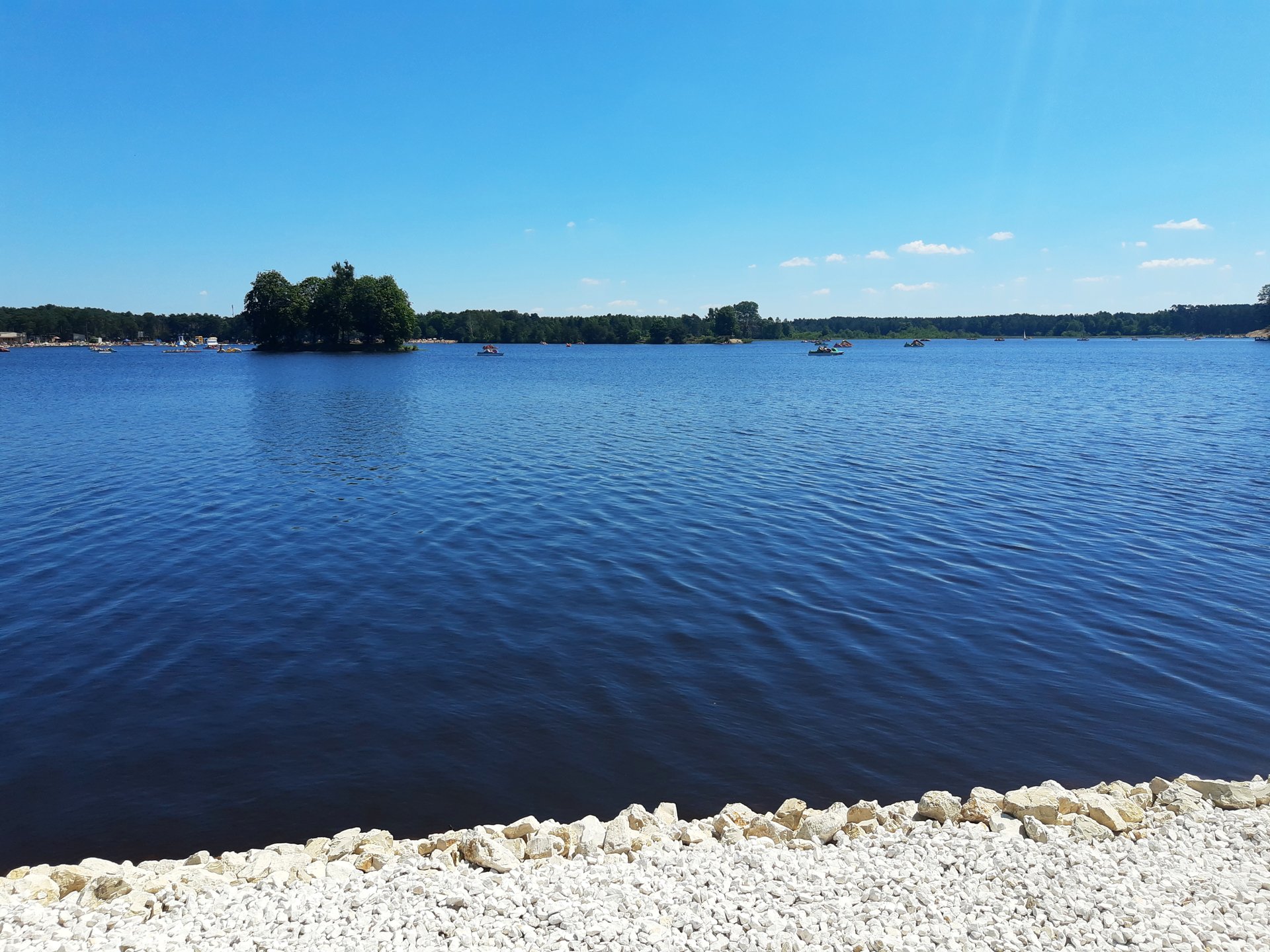 Zalew Sielpia — panorama z lasem sosnowym
