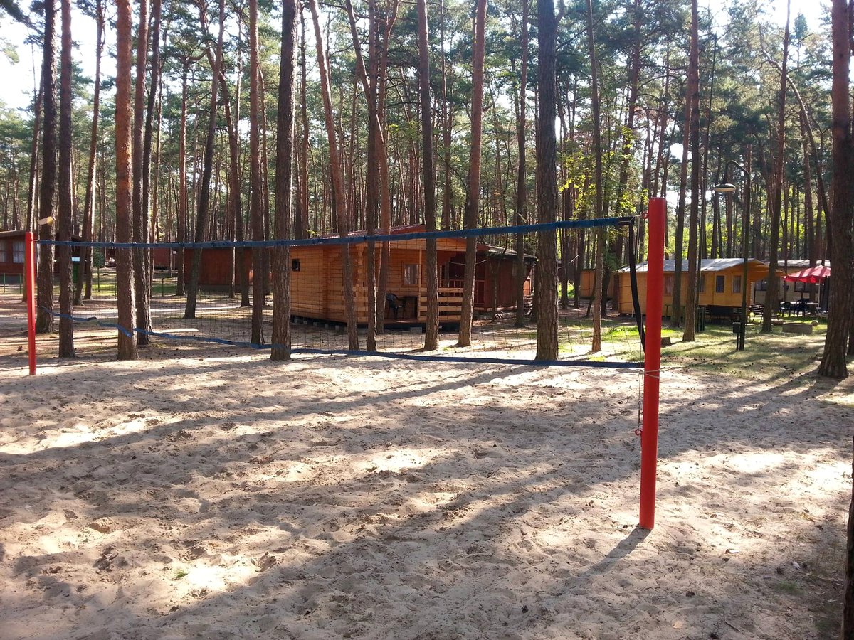 Boisko siatkówki na piasku, między sosnami